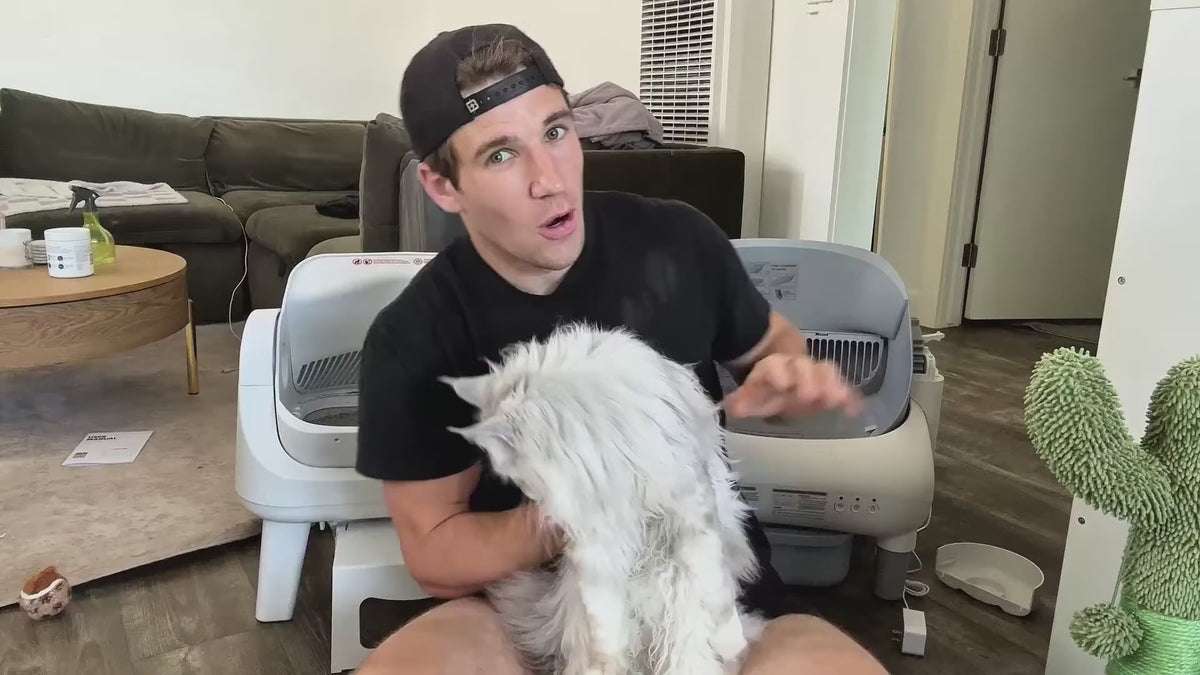 Load video: 